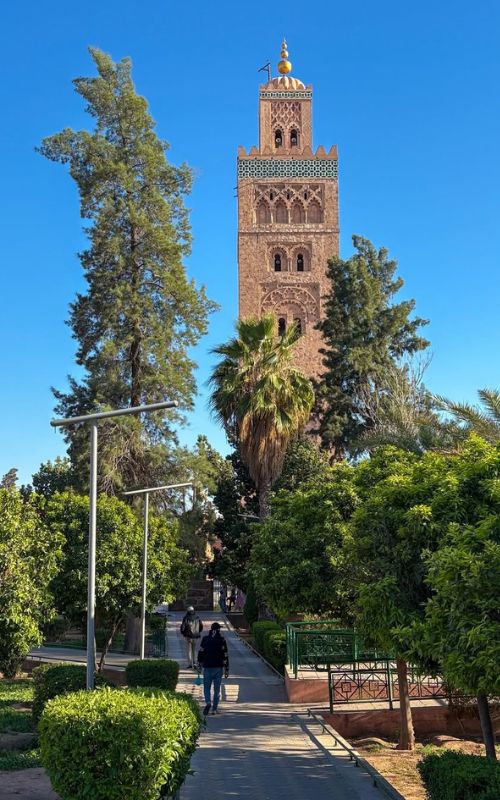 Explore Marrakech Medina with a Local Guide
